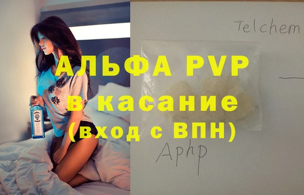 ПСИЛОЦИБИНОВЫЕ ГРИБЫ Инта