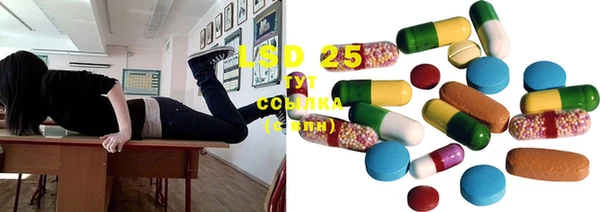 2c-b Инсар