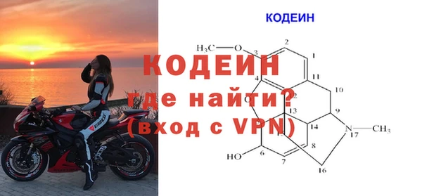 ПСИЛОЦИБИНОВЫЕ ГРИБЫ Инта