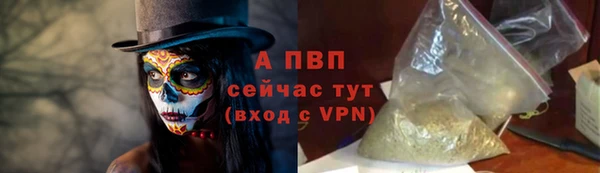 ПСИЛОЦИБИНОВЫЕ ГРИБЫ Инта