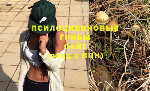 2c-b Инсар