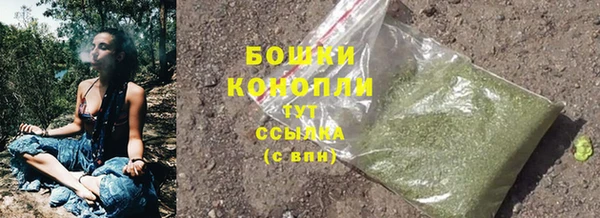 2c-b Инсар