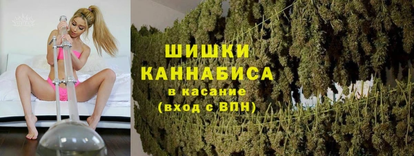 2c-b Инсар