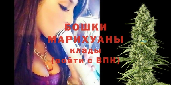 ПСИЛОЦИБИНОВЫЕ ГРИБЫ Инта