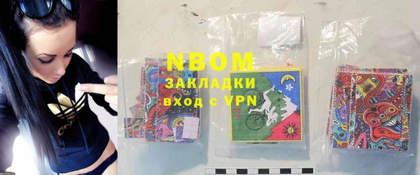 ПСИЛОЦИБИНОВЫЕ ГРИБЫ Инта