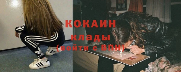 ПСИЛОЦИБИНОВЫЕ ГРИБЫ Инта