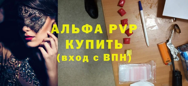 2c-b Инсар