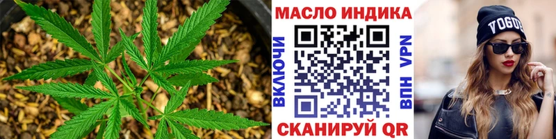 Купить закладки  Вилючинск  ТГК гашишное масло 