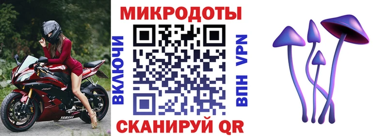 Купить  Вилючинск  Псилоцибиновые грибы Psilocybe 