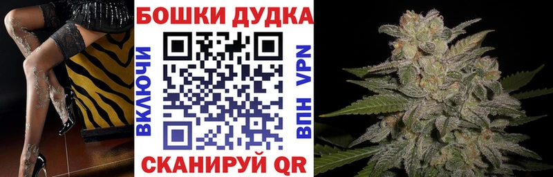Купить где Вилючинск Бошки Шишки MAZAR